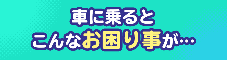 車に乗るとこんなお困り事が…